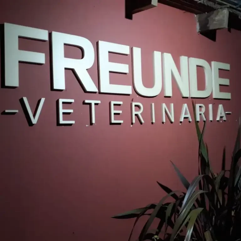 veterinaria freunde 768x768