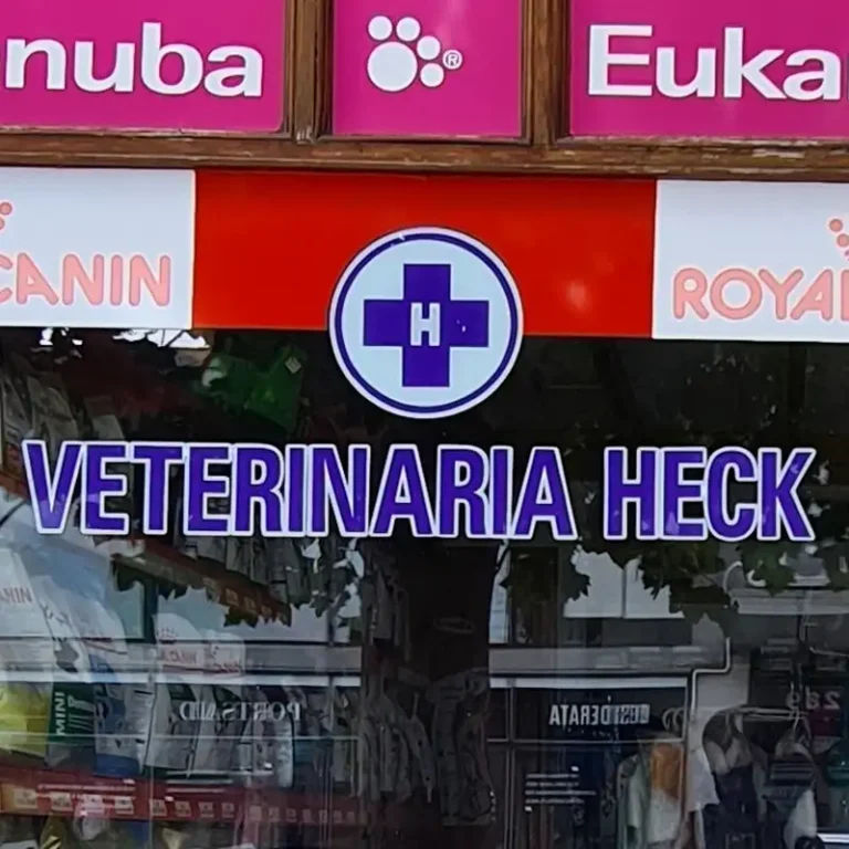 veterinaria heck 768x768