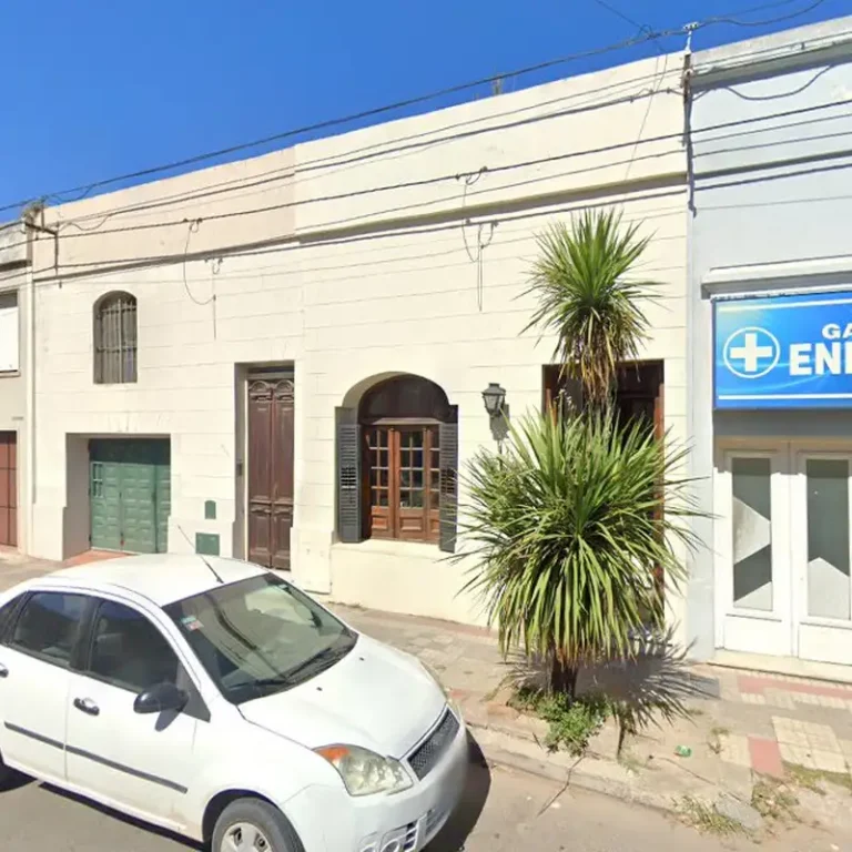 veterinaria hocicos provincia de buenos aires 768x768