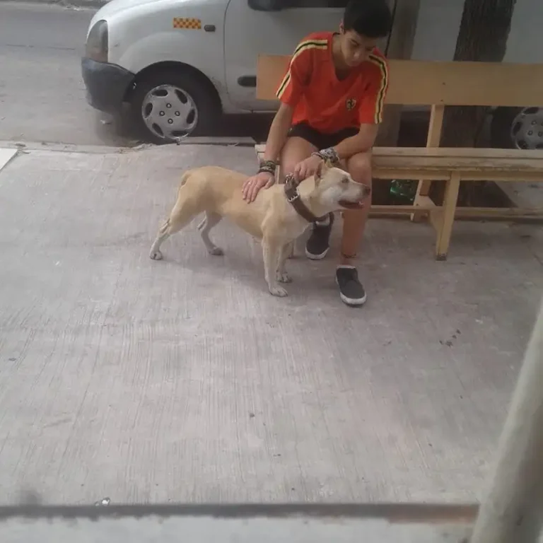 veterinaria isidro casanova 768x768