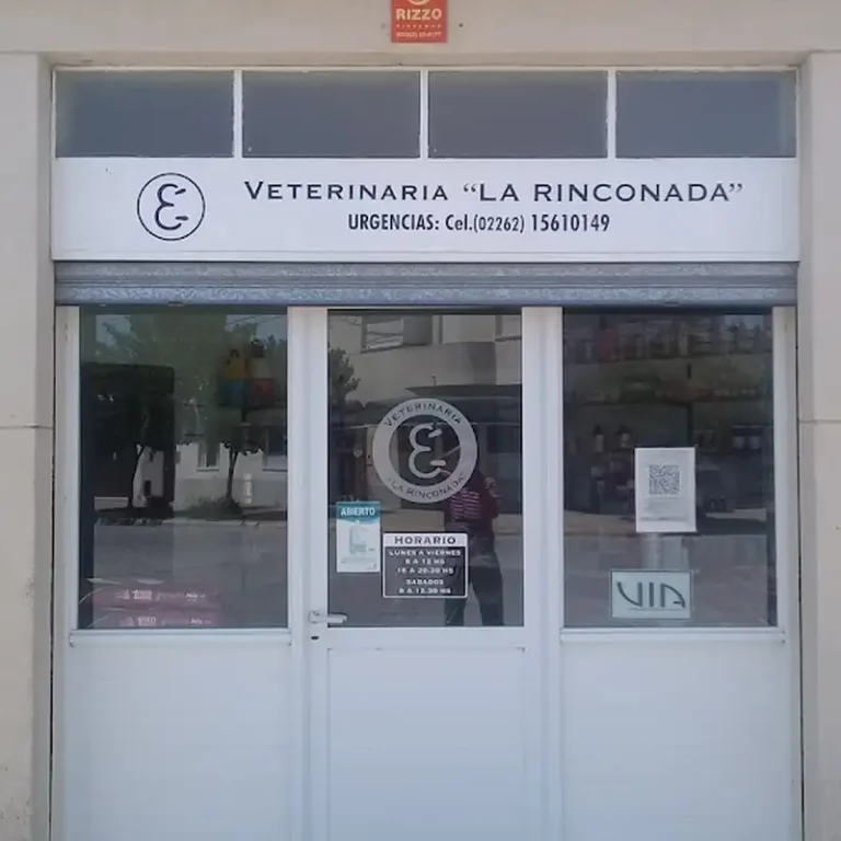 veterinaria la rinconada 768x768