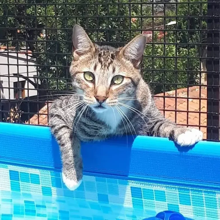 veterinaria mirta farrace 768x768