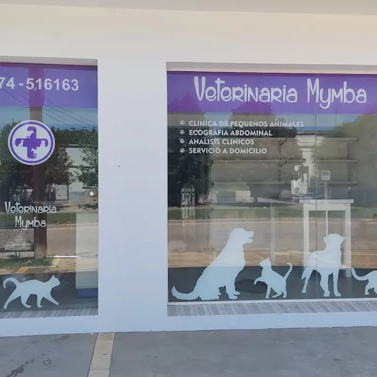 veterinaria mymba 768x768