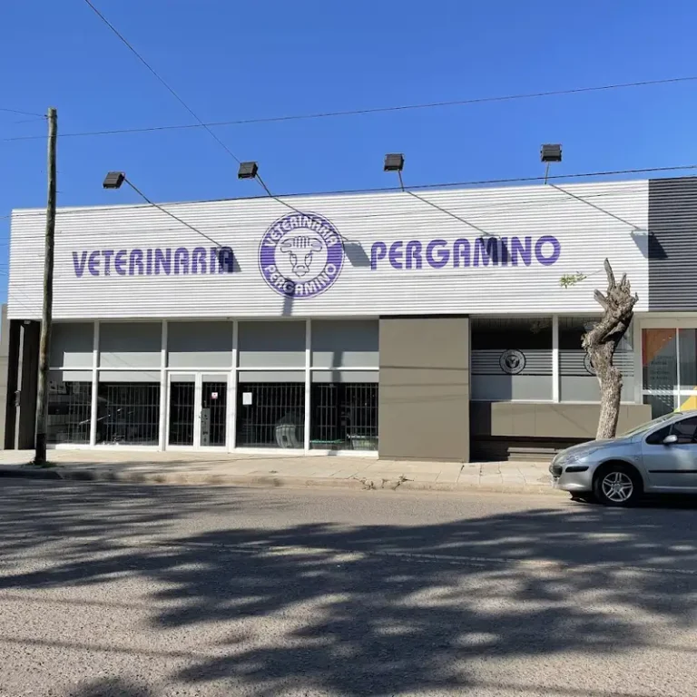 veterinaria pergamino srl 768x768