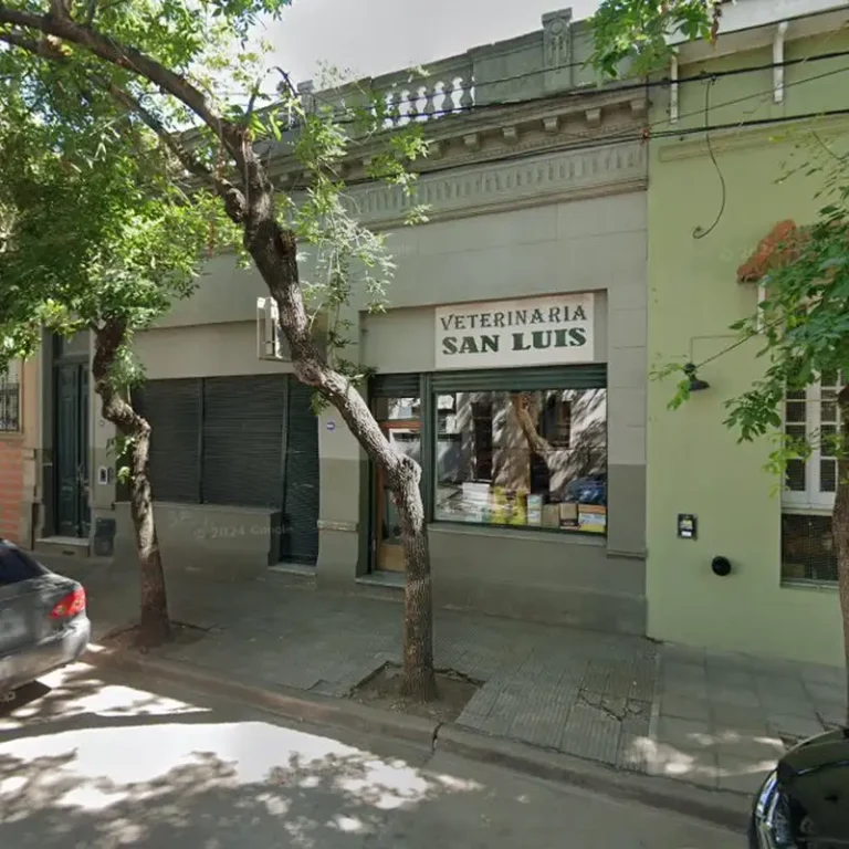 veterinaria san luis 768x768