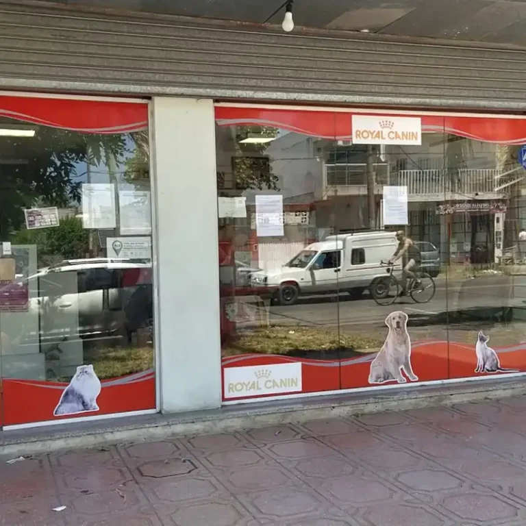 veterinaria santamaria 768x768