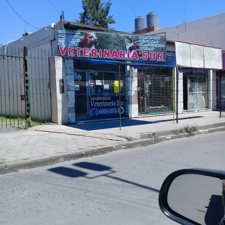 veterinaria sur provincia de buenos aires 768x768