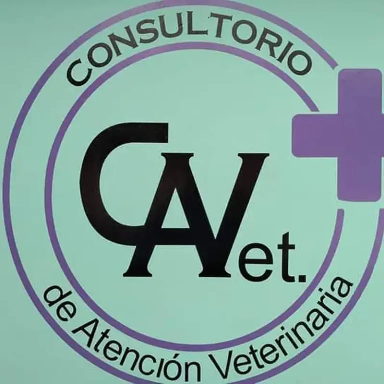 cavet consultorio de atencion veterinaria 768x768