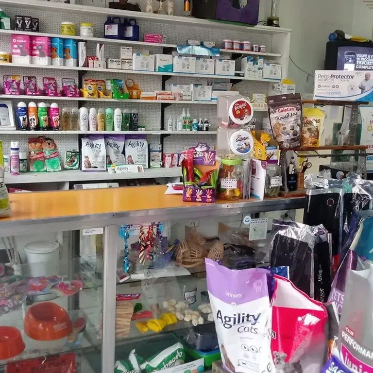 centro veterinario norte 768x768