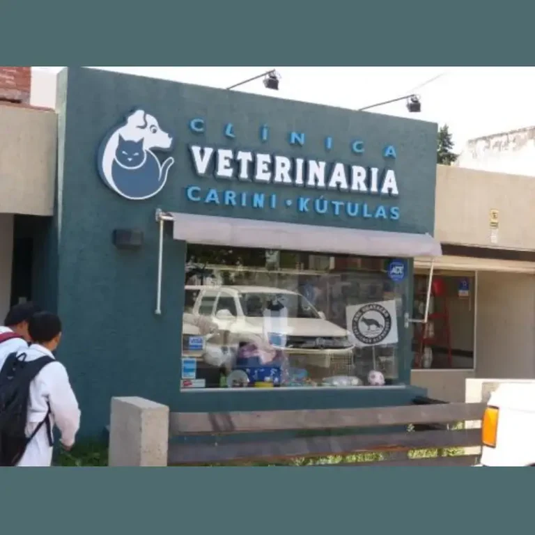 clinica veterinaria carini kutulas 768x768