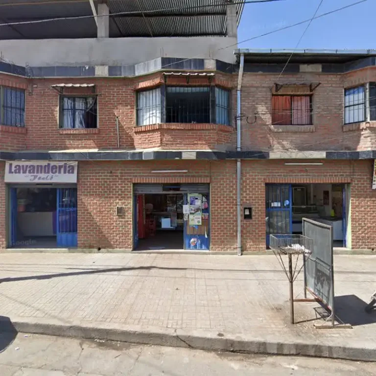 clinica veterinia alfa 768x768