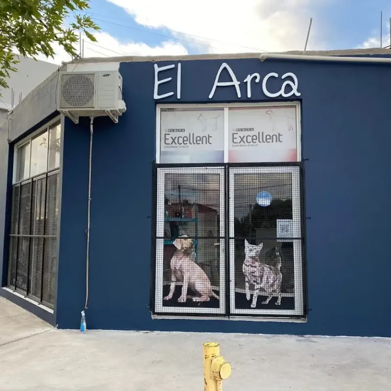 el arca veterinaria 768x768