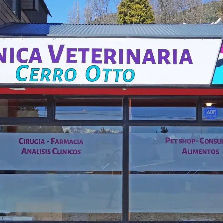 veterinaria cerro otto 768x768