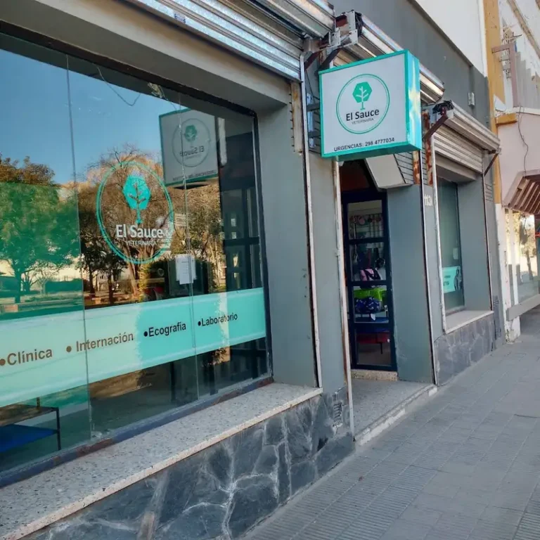 veterinaria el sauce 768x768