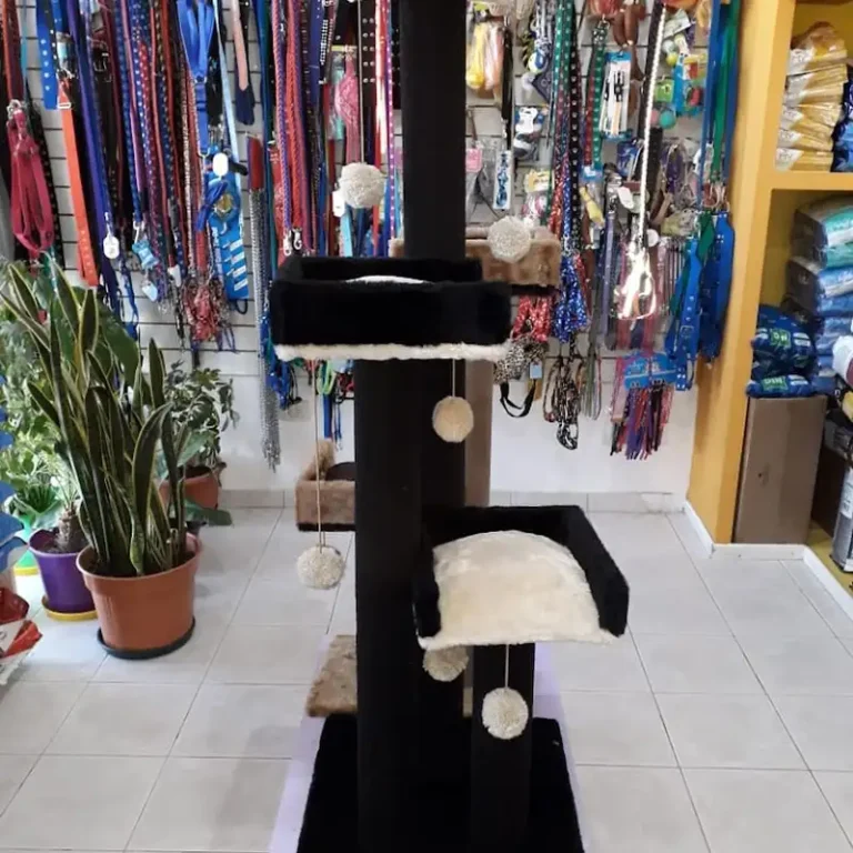 veterinaria fantini 768x768