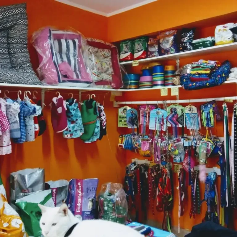 veterinaria tati 768x768