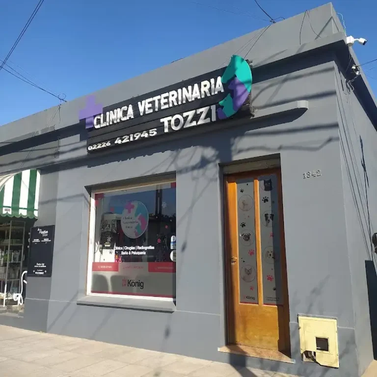 veterinaria tozzi 768x768