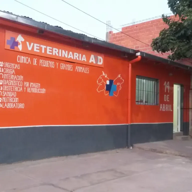 veterinaria 14 de abril 768x768