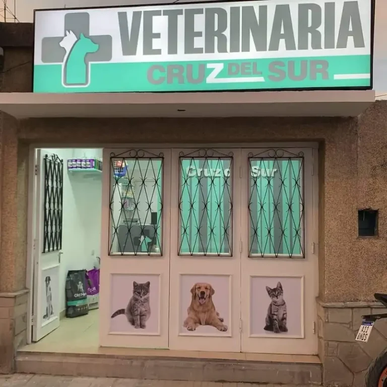 veterinaria cruz del sur salta 768x768