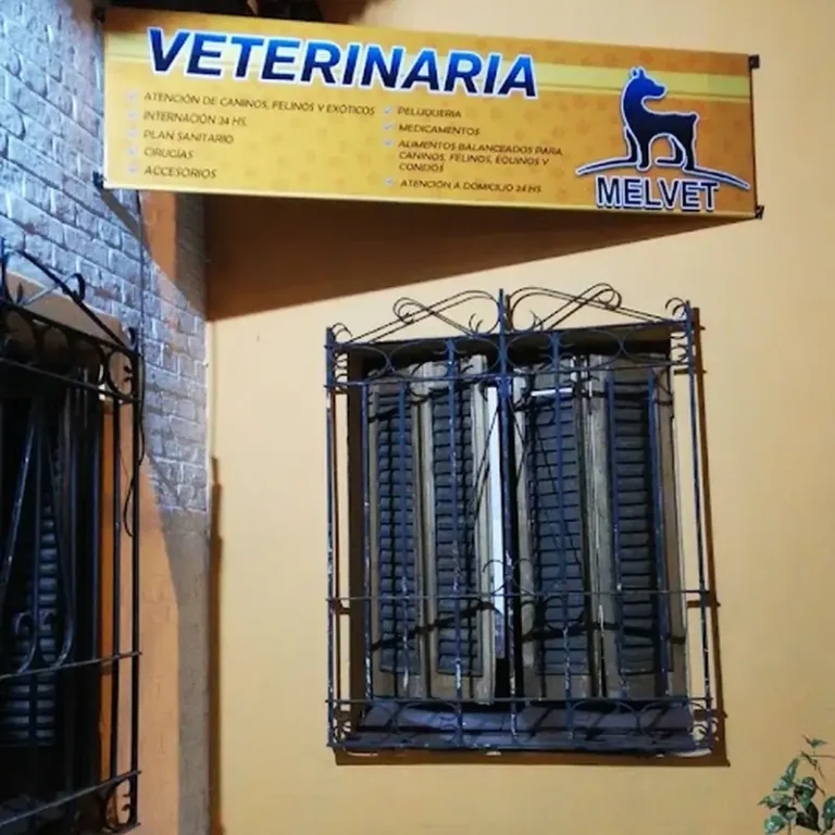 veterinaria melvet 768x768