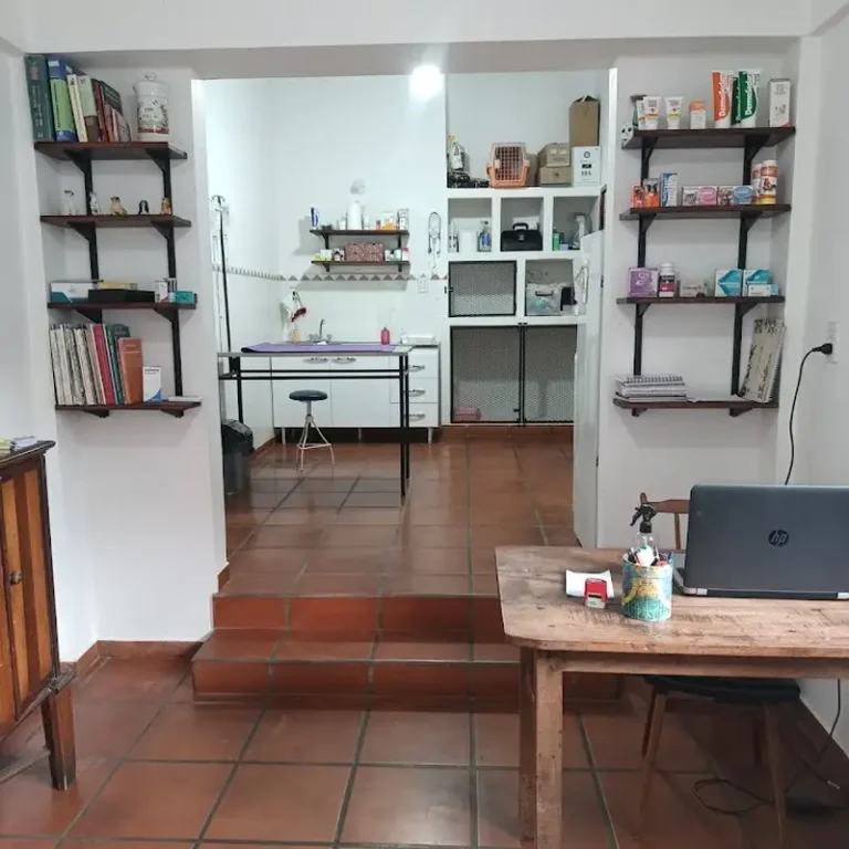 veterinaria mivet 768x768
