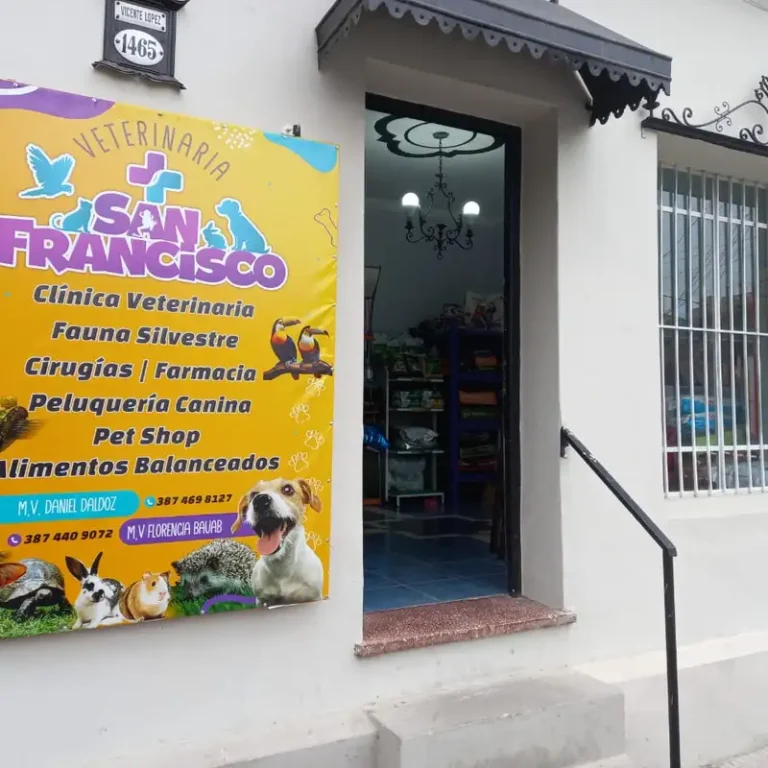 veterinaria san francisco salta 768x768