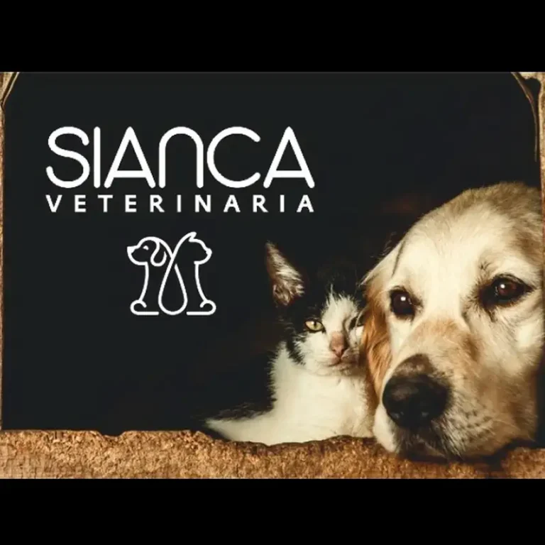 veterinaria sianca 768x768