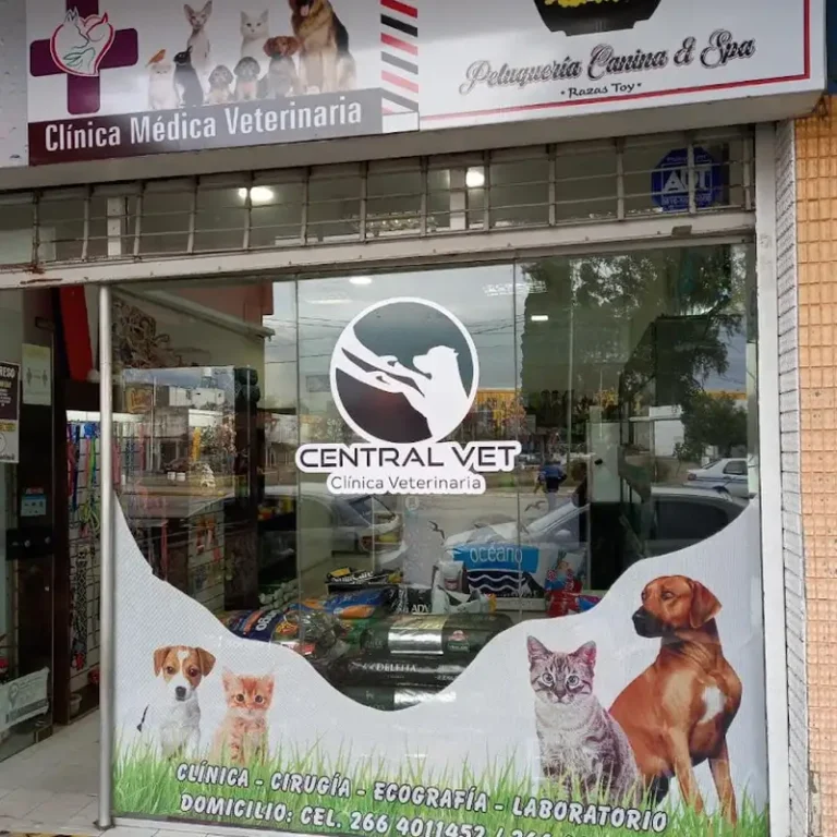 central vet clinica veterinaria 768x768