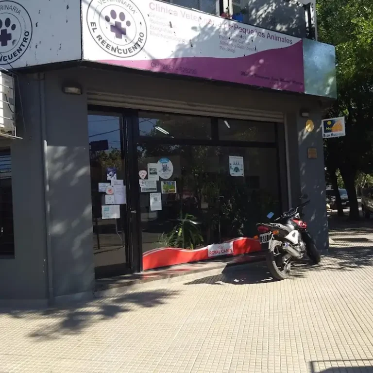 el reencuentro 768x768