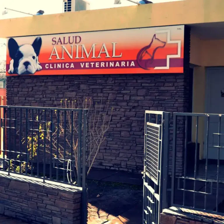 veterinaria animal health 768x768