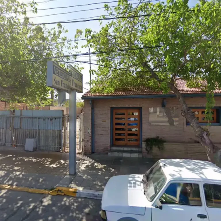 veterinaria san francisco san juan 768x768