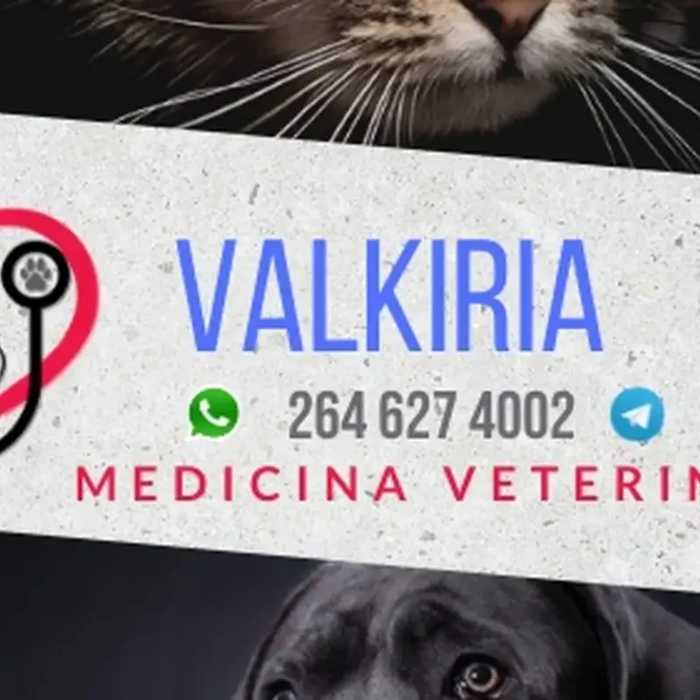 veterinaria valkiria 768x768
