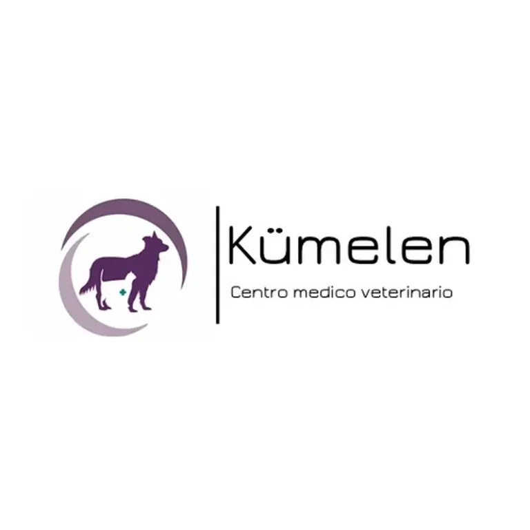 centro medico veterinario kumelen 768x768