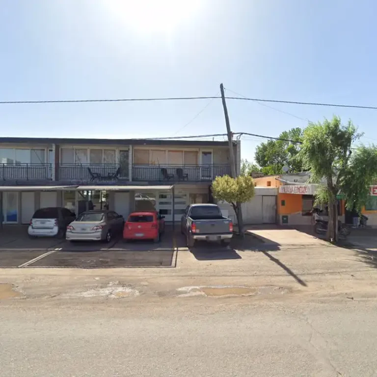 centro medico veterinario mv alejandra pizzolito 768x768