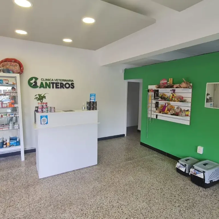 clinica veterinaria canteros 768x768