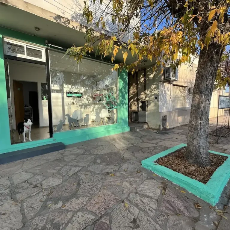 clinica veterinaria el club del can 768x768
