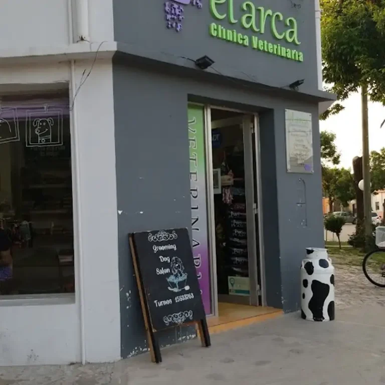 el arca veterinaria santa fe 768x768