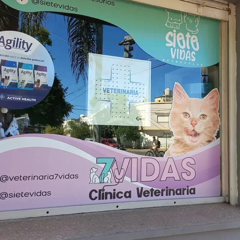 veterinaria 7 vidas 768x768