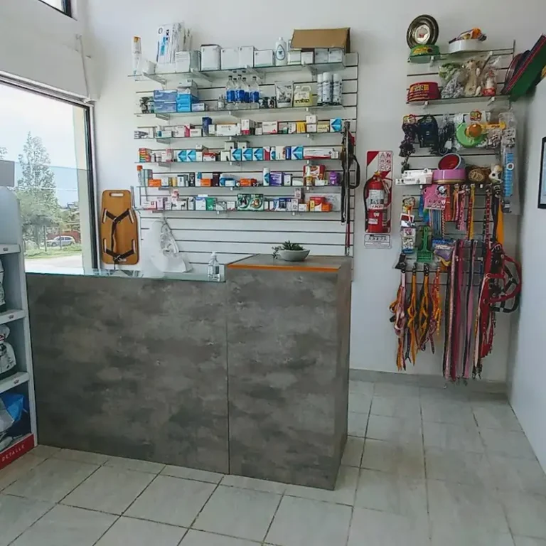 veterinaria 911 pets 768x768