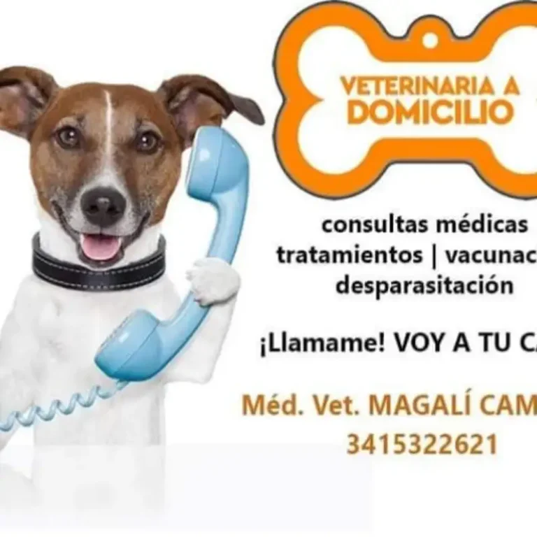 veterinaria a domicilio magali caminos 768x768