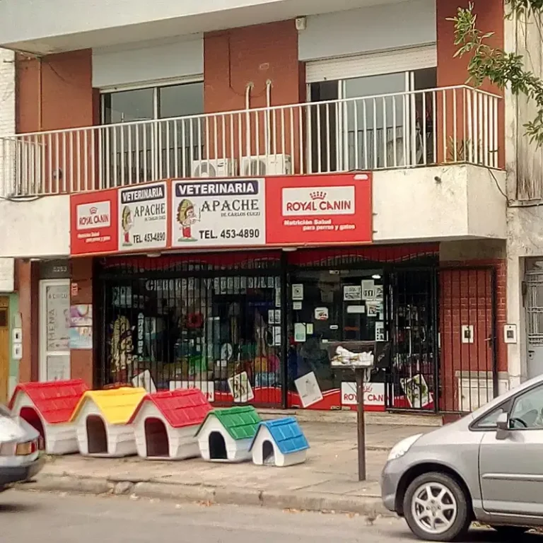veterinaria apache 768x768