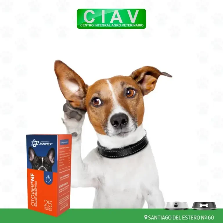 veterinaria ciav santa cruz 768x768