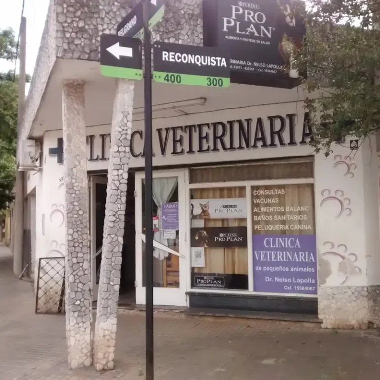 veterinaria dr lapolla 768x768