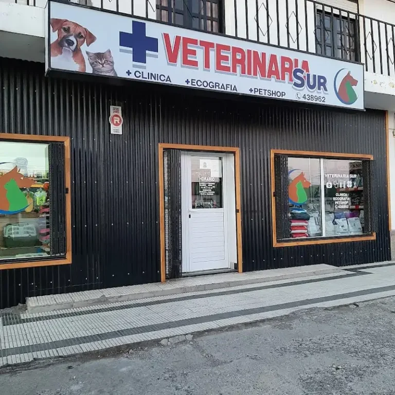 veterinaria sur de m v guillermo sturla 768x768