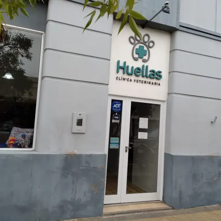 veterinaria huellas sc 768x768