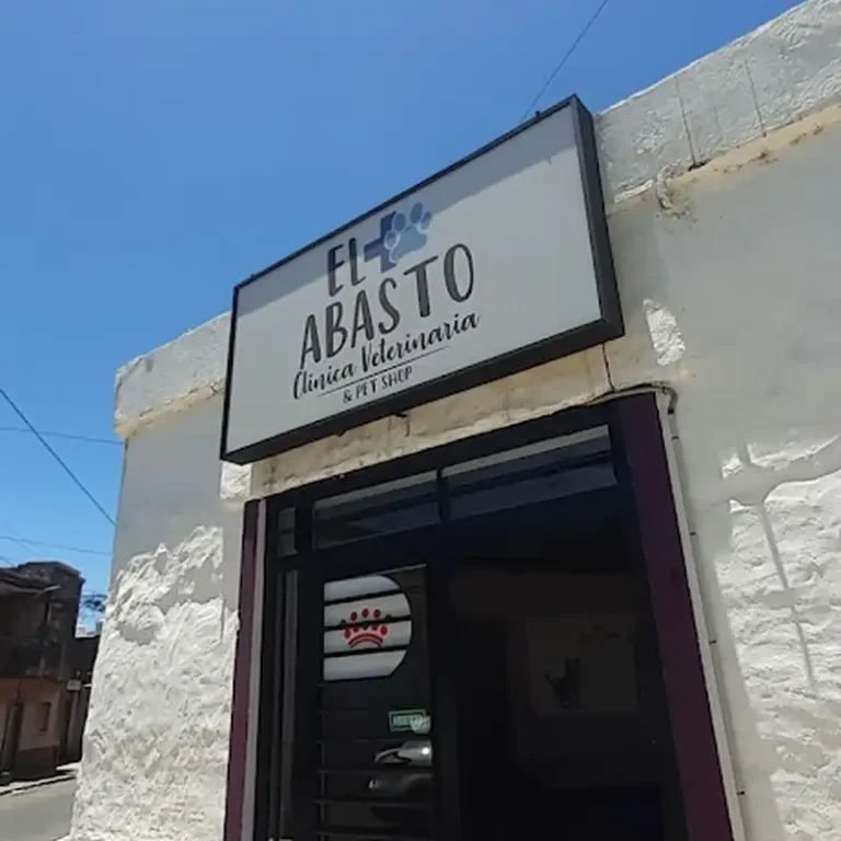 el abasto clinica veterinaria 768x768