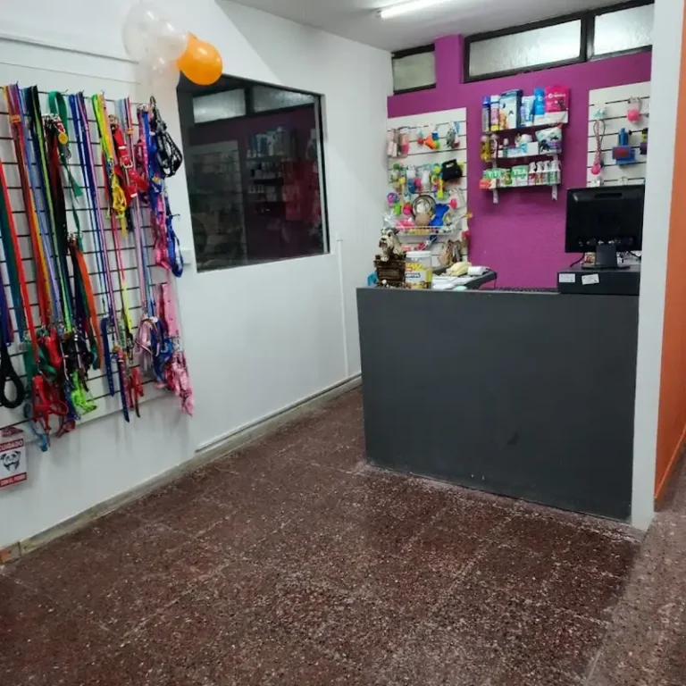 guardia animal clinica veterinaria 768x768