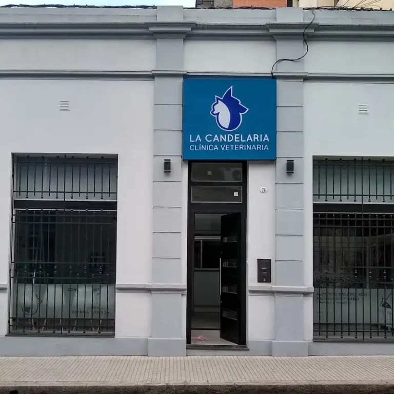 la candelaria clinica veterinaria 768x768