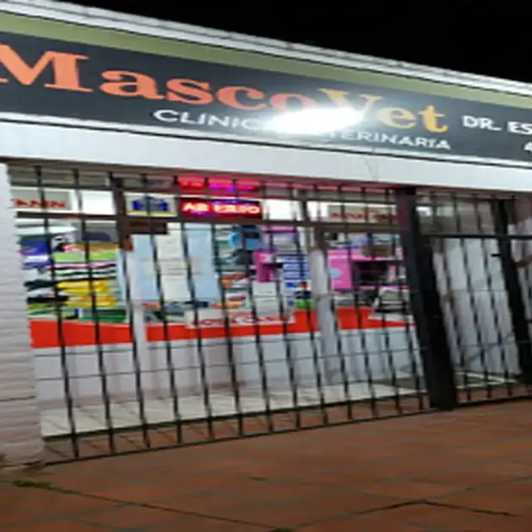 mascovet clinica veterinaria dr esteban villa 768x768