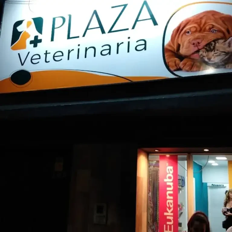 plaza clinica veterinaria 768x768